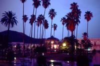 Alamos-plaza-rain